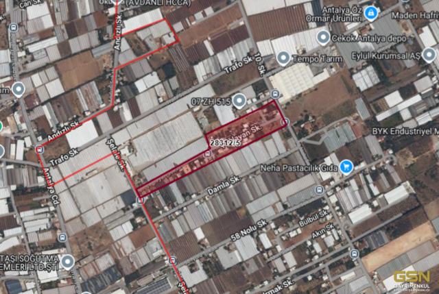 3-ANTALYA KEPEZ MENDERES MAH. TAKASLI TARLA